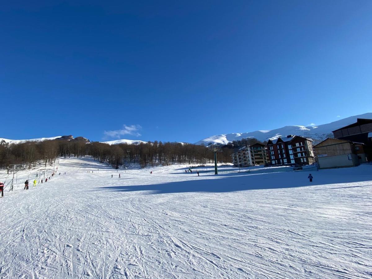 Курортный отель Snow Pine Suite - 4 Star Бакуриани Экстерьер фото